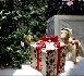 Un budget en baisse pour Noël ?