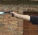 Un fichier informatisé des propriétaires et possesseurs d'armes