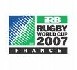 Mondial de rugby : 24 millions d'euros de bénéfices