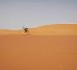 Mauritanie: voyages suspendus