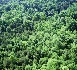 La protection des forêts contre l’incendie en 2008