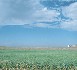 Libérer l’agriculture de sa dépendance au pétrole