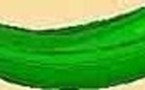 PAIN DE COURGETTES