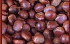 CHARLOTTE AUX MARRONS