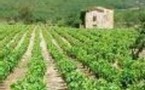 Les vignerons protestent