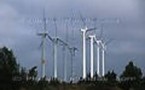 De l'impact des éoliennes sur la santé