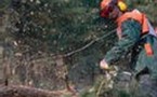 Des accidents du travail en hausse dans le public