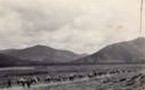Le train le plus haut du monde est au Tibet